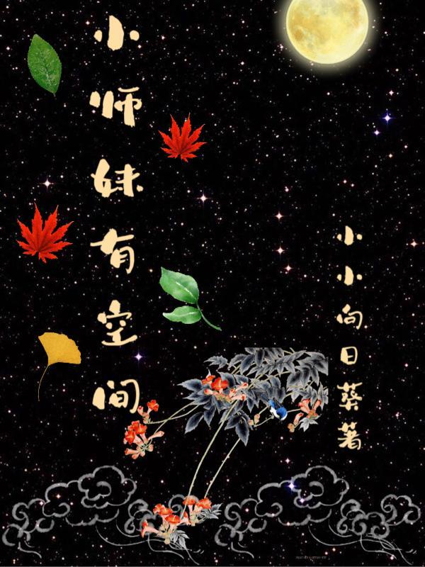 四合院娶秦淮茹的