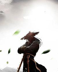 打造大明日不落作者赚了多少钱