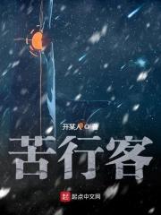 冒牌将军在线观看