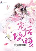 我有一个神奇的梦想是什么歌