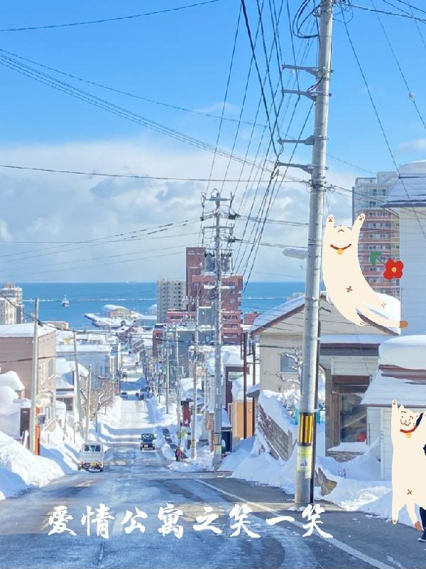 芙蓉不及美人妆水殿风来珠翠香打一动物