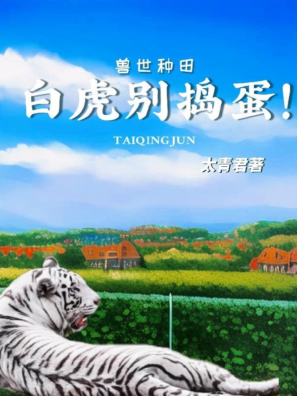 送老板送什么东西最合适