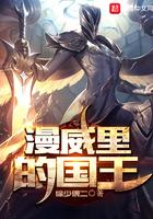 我和总裁闪婚了