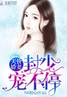 未来太子妃是个傻子