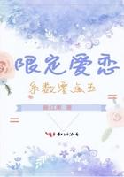 宝路天行大结局是什么